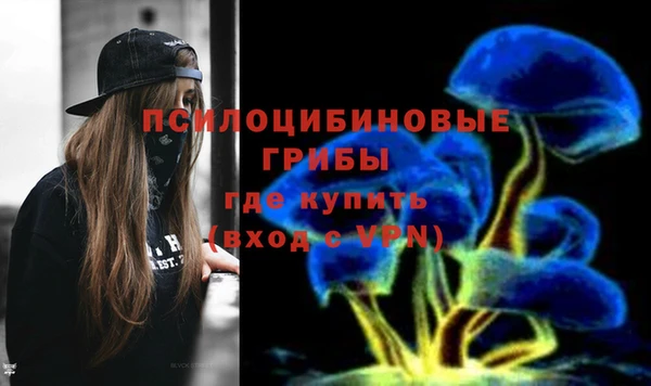 крисы Армянск
