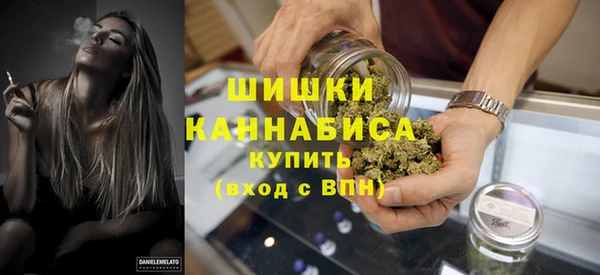 амф Арсеньев