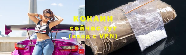 крисы Армянск