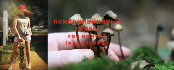 амф Арсеньев