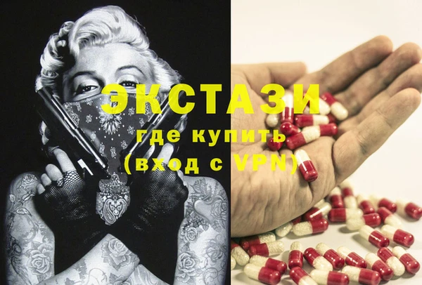 крисы Армянск