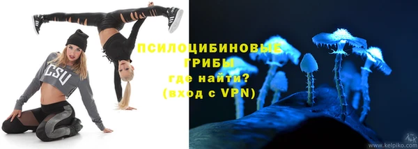 крисы Армянск