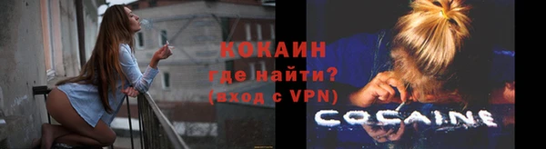 крисы Армянск