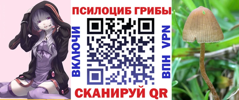Галлюциногенные грибы Cubensis  дарк нет клад  Мончегорск 